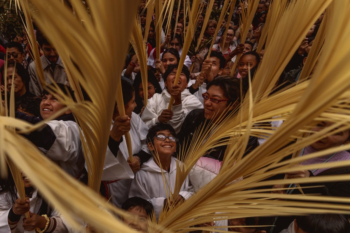 Young penitents from the 'Gran Poder and Macarena Esperanza' brotherhood wave palm leaves while the priest blesses them at the end of the Palm Sunday procession in Barcelona