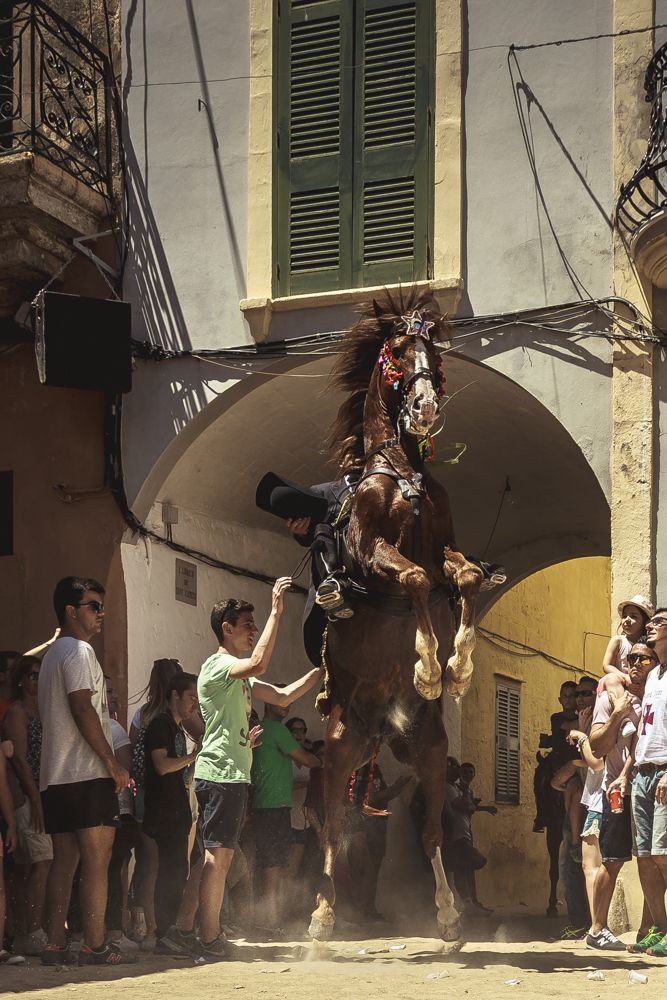 Ciutadella, Spain. 24 June, 2016: 
Ciutadella De Menorca, Balearic Islands, Spain - Spectators try to touch the horse's chest for good luck as a 'caixer' (horse rider) rears up during the morning festivities on 'Sant Joan' (Saint John's day) in Ciutadella de Menorca