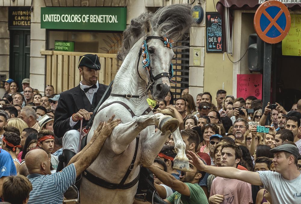 Mahon, Spain. 8 September, 2017: A 'caixer' (horse rider) rears up on his horse in between the cheering crowd during the 'Jaleo' of the traditional Gracia Festival in Mahon, celebrating its patron, Our Lady of Grace