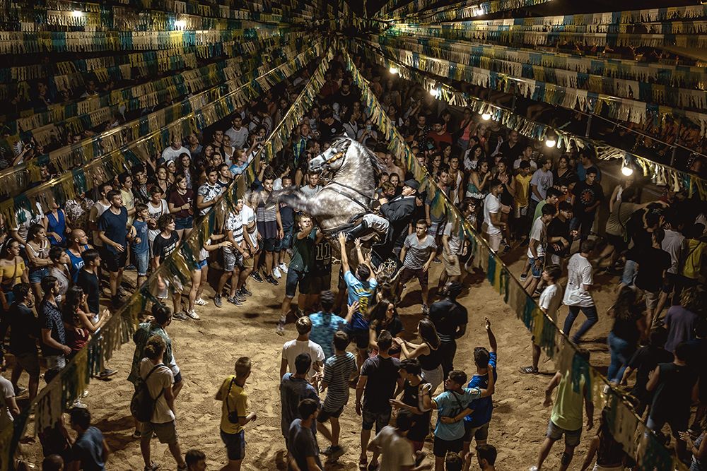 A 'caixer' (horse rider) rears up on his horse surrounded by a cheering crowd during the traditional 'Jaleo' at the Sant Antoni Festival in Fornells