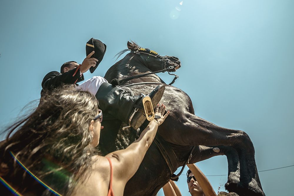 A 'caixer' (horse rider) rears up on his horse surrounded by a cheering crowd during the traditional 'Jaleo' at the Sant Jaume Festival in Es Castell